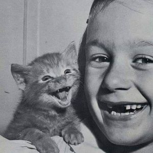 Meet your Posher, Fatima